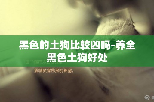 黑色的土狗比較兇嗎-養全黑色土狗好處