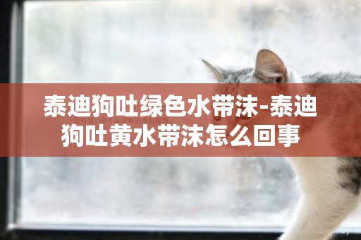 泰迪狗吐綠色水帶沫-泰迪狗吐黃水帶沫怎么回事