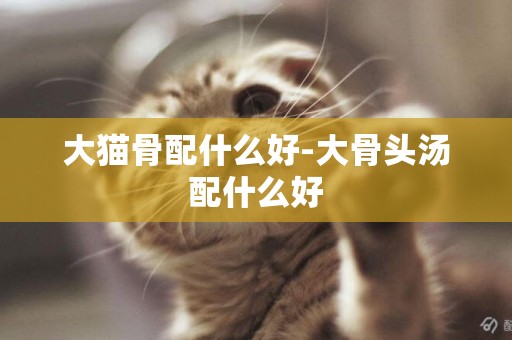 大貓骨配什么好-大骨頭湯配什么好