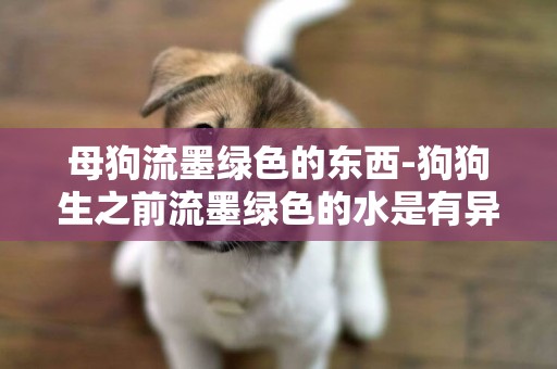 母狗流墨綠色的東西-狗狗生之前流墨綠色的水是有異常嗎