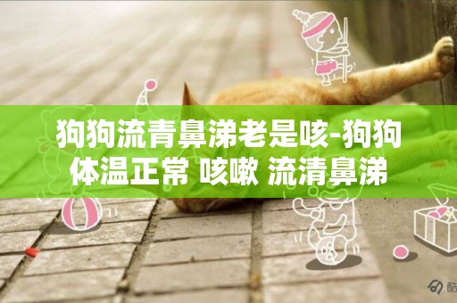 狗狗流青鼻涕老是咳-狗狗體溫正常 咳嗽 流清鼻涕