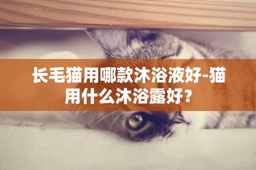長毛貓用哪款沐浴液好-貓用什么沐浴露好？