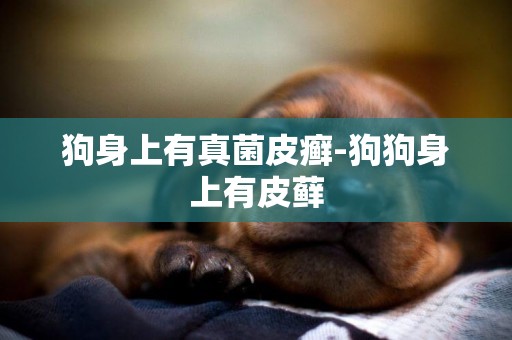 狗身上有真菌皮癬-狗狗身上有皮蘚