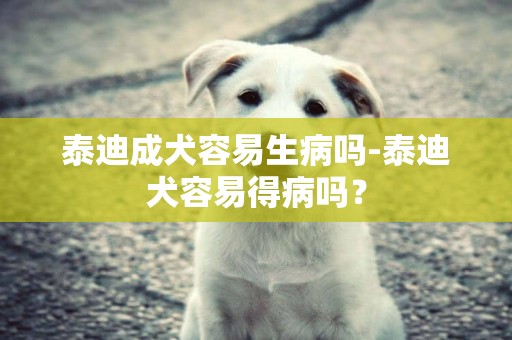 泰迪成犬容易生病嗎-泰迪犬容易得病嗎？