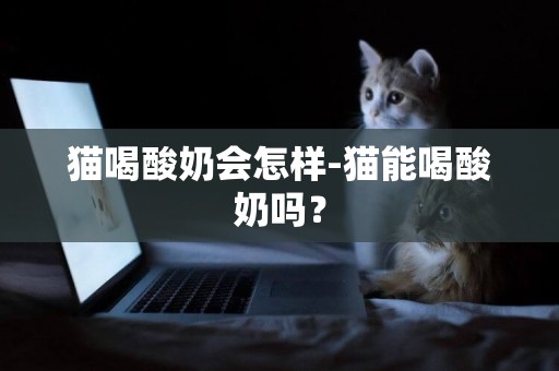 貓喝酸奶會怎樣-貓能喝酸奶嗎？