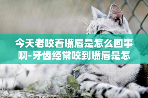 今天老咬著嘴唇是怎么回事啊-牙齒經常咬到嘴唇是怎么回事