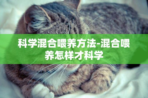 科學混合喂養方法-混合喂養怎樣才科學