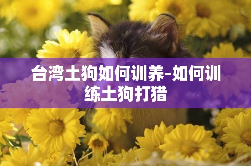 臺灣土狗如何訓養-如何訓練土狗打獵