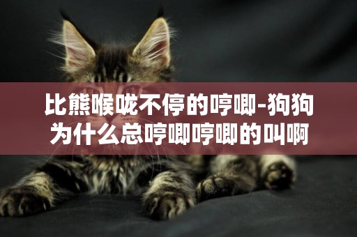 比熊喉嚨不停的哼唧-狗狗為什么總哼唧哼唧的叫啊