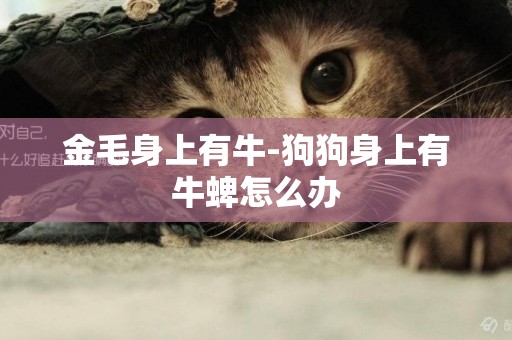 金毛身上有牛-狗狗身上有牛蜱怎么辦