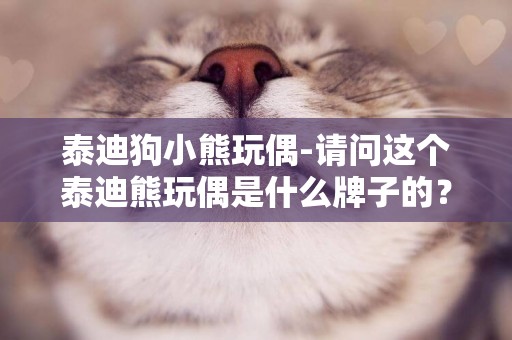 泰迪狗小熊玩偶-請問這個泰迪熊玩偶是什么牌子的？