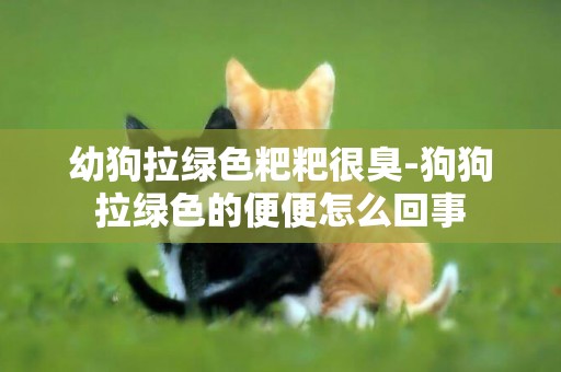幼狗拉綠色粑粑很臭-狗狗拉綠色的便便怎么回事