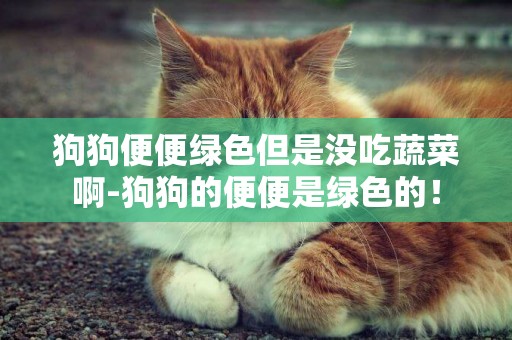 狗狗便便綠色但是沒吃蔬菜啊-狗狗的便便是綠色的！