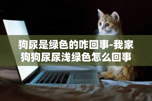 狗尿是綠色的咋回事-我家狗狗尿尿淺綠色怎么回事