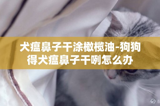 犬瘟鼻子干涂橄欖油-狗狗得犬瘟鼻子干咧怎么辦