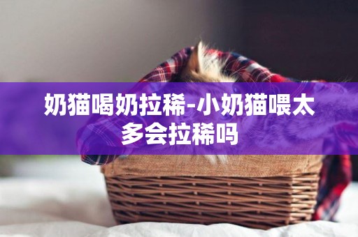 奶貓喝奶拉稀-小奶貓喂太多會拉稀嗎