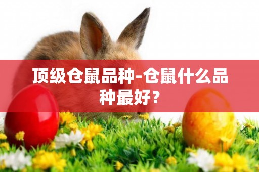 頂級倉鼠品種-倉鼠什么品種最好？
