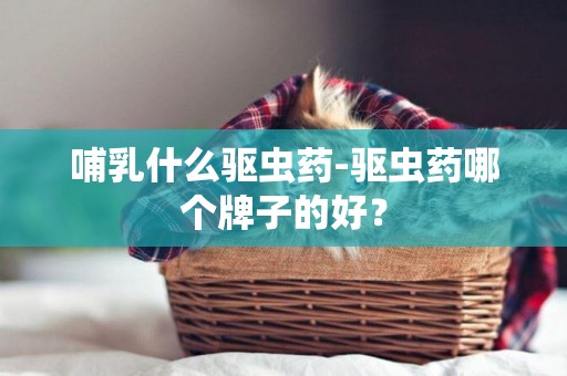哺乳什么驅蟲藥-驅蟲藥哪個牌子的好？