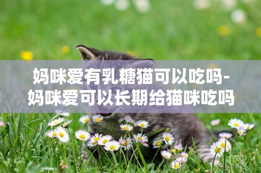 媽咪愛有乳糖貓可以吃嗎-媽咪愛可以長期給貓咪吃嗎？