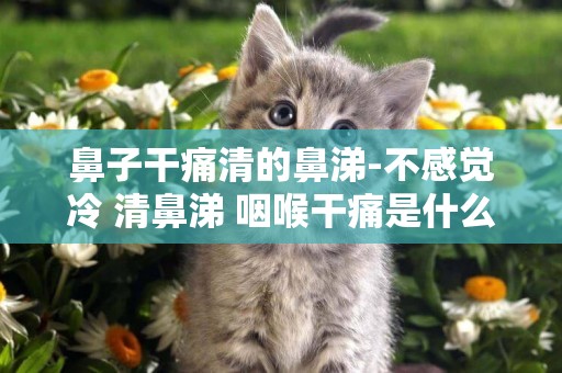 鼻子干痛清的鼻涕-不感覺冷 清鼻涕 咽喉干痛是什么感冒？