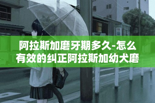阿拉斯加磨牙期多久-怎么有效的糾正阿拉斯加幼犬磨牙習慣