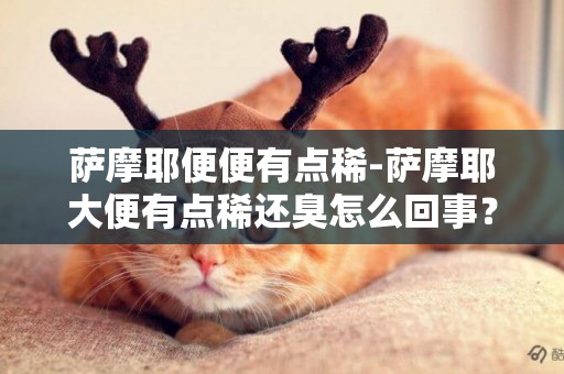 薩摩耶便便有點稀-薩摩耶大便有點稀還臭怎么回事？？