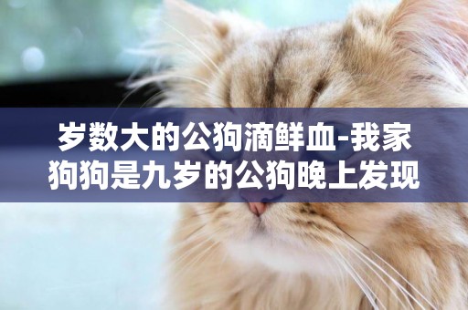 歲數大的公狗滴鮮血-我家狗狗是九歲的公狗晚上發現地板上有滴滴的血跡是什么原因？