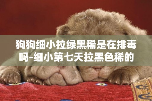 狗狗細小拉綠黑稀是在排毒嗎-細小第七天拉黑色稀的便便是排毒嗎