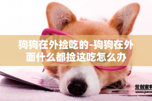 狗狗在外撿吃的-狗狗在外面什么都撿這吃怎么辦