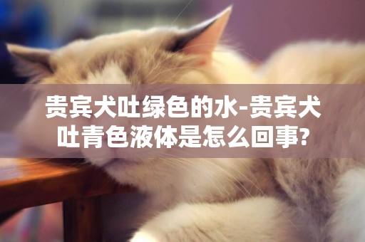 貴賓犬吐綠色的水-貴賓犬吐青色液體是怎么回事?