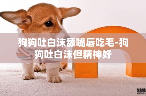 狗狗吐白沫舔嘴唇吃毛-狗狗吐白沫但精神好