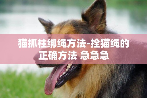 貓抓柱綁繩方法-拴貓繩的正確方法 急急急