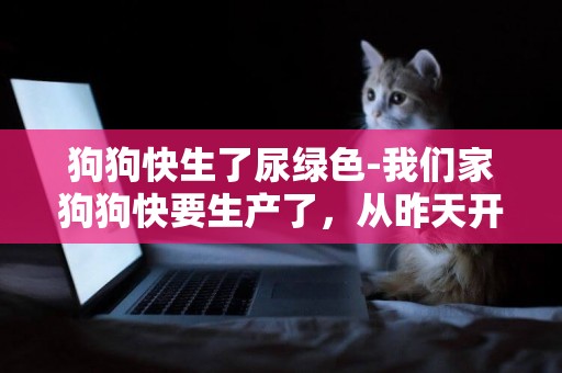 狗狗快生了尿綠色-我們家狗狗快要生產了，從昨天開始不吃食了，尿是綠色的怎么回事