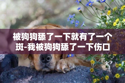 被狗狗舔了一下就有了一個斑-我被狗狗舔了一下傷口！！！