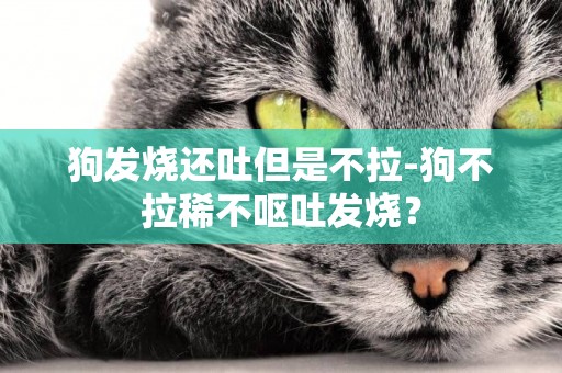 狗發燒還吐但是不拉-狗不拉稀不嘔吐發燒？