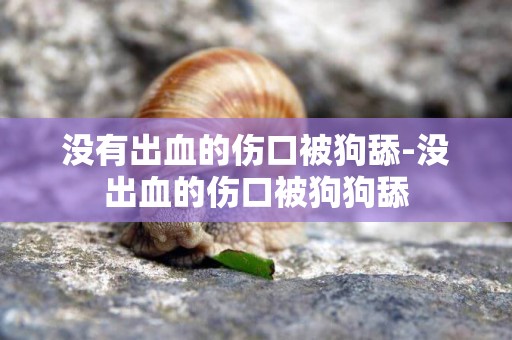 沒有出血的傷口被狗舔-沒出血的傷口被狗狗舔