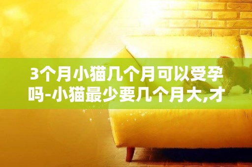 3個月小貓幾個月可以受孕嗎-小貓最少要幾個月大,才有生育能力?