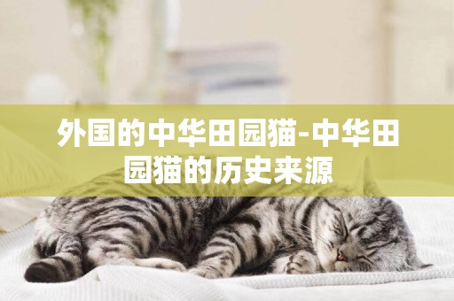 外國的中華田園貓-中華田園貓的歷史來源