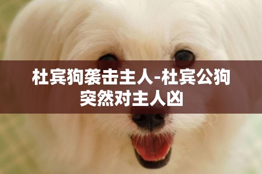杜賓狗襲擊主人-杜賓公狗突然對主人兇