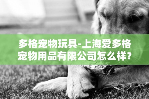多格寵物玩具-上海愛多格寵物用品有限公司怎么樣？
