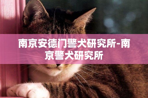 南京安德門警犬研究所-南京警犬研究所