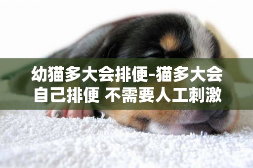 幼貓多大會排便-貓多大會自己排便 不需要人工刺激