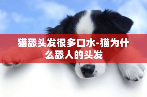 貓舔頭發很多口水-貓為什么舔人的頭發