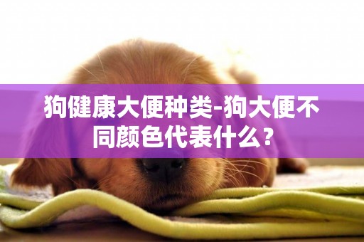狗健康大便種類-狗大便不同顏色代表什么？