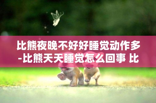 比熊夜晚不好好睡覺動作多-比熊天天睡覺怎么回事 比熊犬晚上不睡覺的解決方法