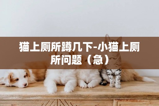貓上廁所蹲幾下-小貓上廁所問題（急）