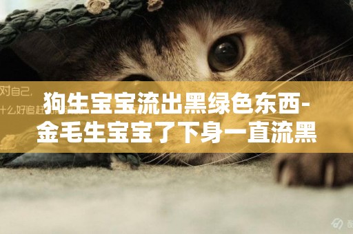 狗生寶寶流出黑綠色東西-金毛生寶寶了下身一直流黑綠色液體怎么辦