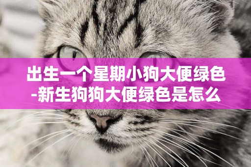 出生一個星期小狗大便綠色-新生狗狗大便綠色是怎么回事？