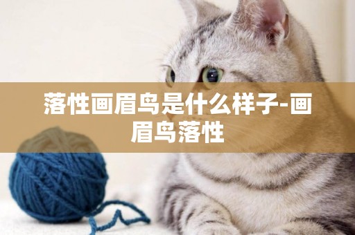 落性畫眉鳥是什么樣子-畫眉鳥落性