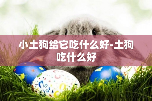 小土狗給它吃什么好-土狗吃什么好